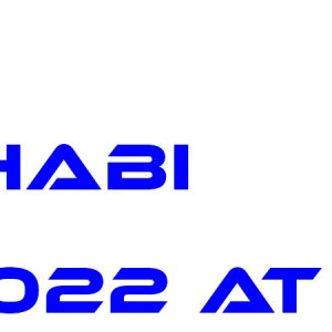 11 RACE abu dhabi 22.jpg